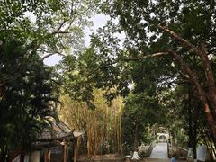 -广西壮族自治区药用植物园