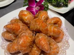 金牌元宝虾-调鼎居·手工淮扬菜
