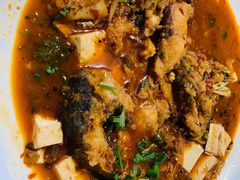 -煲来饱去冷水鱼