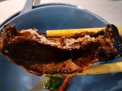 -洞庭家宴·头牌甲鱼(广渠门店)