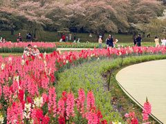 -苏州上方山国家森林公园