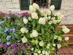 -华谊兄弟（长沙）电影小镇