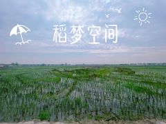 -稻梦空间