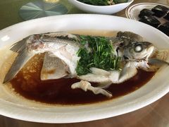 -八仔大富楼·河鲜(西江店)