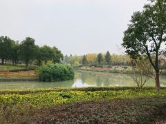 -九科绿洲