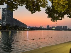 -天鹅湖体育公园