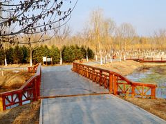 -东郊湿地公园