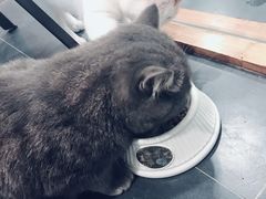 -B.O.M波姆烘焙(凤凰街店)