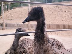 -栾川竹海野生动物园