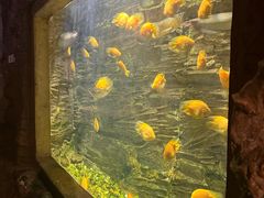 -西安曲江海洋极地公园