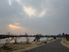 -上海海湾国家森林公园