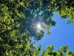 -石岛赤山风景区