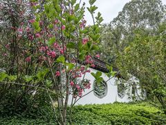 -深圳国际园林花卉博览园