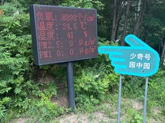 -五营红松林海景区