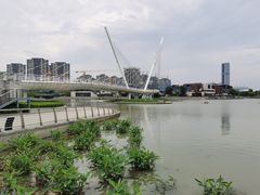 -映月湖中央公园