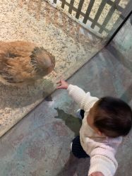 -酷嗒动物文化乐园(cutezoo西溪乐天城店)