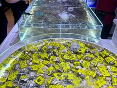 -聚盛源蒸汽海鲜火锅烤肉自助(巨川金海岸购物广场店)