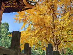 -汇龙潭