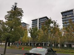 -上海山野camping·户外天幕烧烤·团建拓展营地