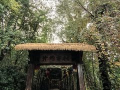 -井塘古村