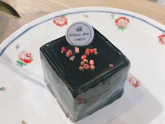 -共舞时光猫咖·狗咖(新街口店)