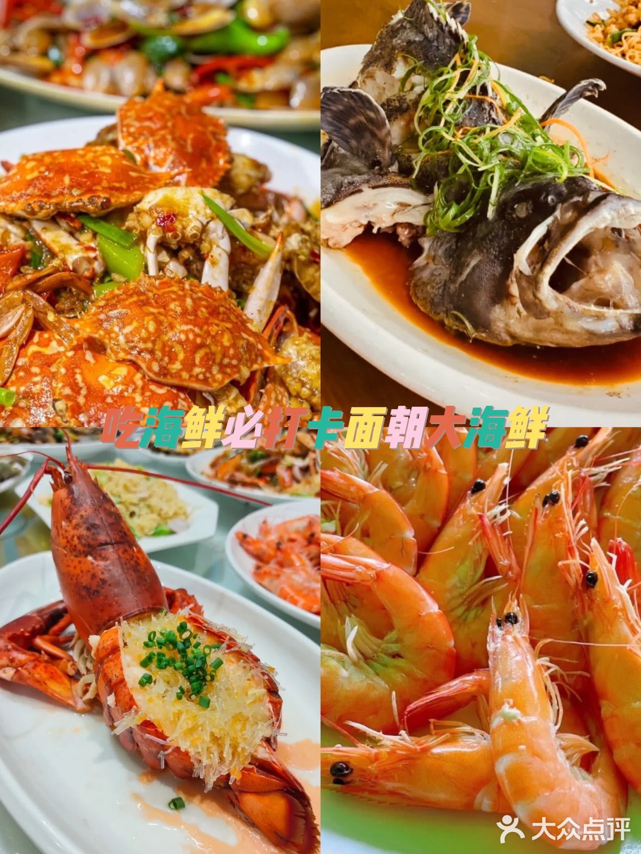  美食博主推荐这家海口老字号面朝大海鲜