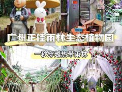 -正佳雨林生态植物园