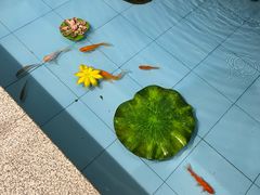 -淮扬楼(千鹤湖店)