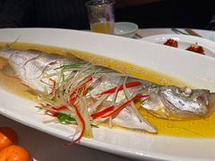 -苏帮袁Sue Cuisine(来福士店)