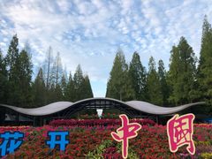 -东平国家森林公园