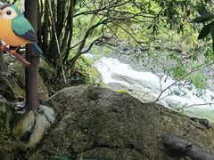 -黄山翡翠谷景区