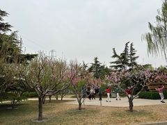-南长河公园