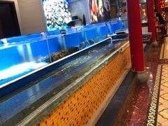 -万荣烤鸭店·北京菜(天坛店)