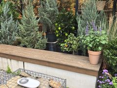 -自由生长植物工作室(深港花卉中心店)