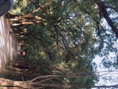 -南国桃园旅游度假区