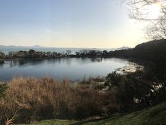 -上海市保健医疗中心(华东疗养院)