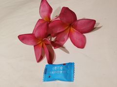 -木兰逸•泰式按摩•头疗•SPA(车公庙店)