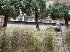 -秦始皇帝陵博物院-丽山园
