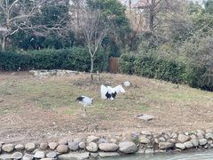 -上海野生动物园