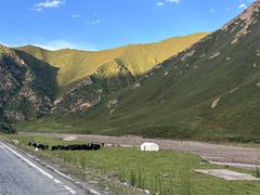 -扁都口生态休闲旅游区