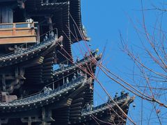 -杭州半山国家森林公园