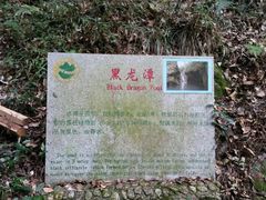 -祁门牯牛降观音堂风景区