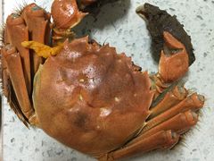 -小陆莲花蟹园农家乐(莲花岛店)