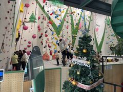 -绿壁虎攀岩基地(Tcar店)
