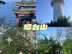 -映像烟台·海鲜·地道鲁菜(黄山路店)