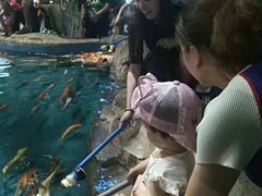 -石林冰雪海洋世界