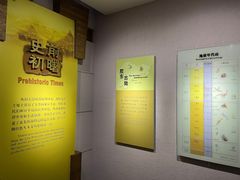 -烟台市博物馆