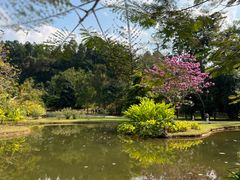 -中国科学院西双版纳热带植物园