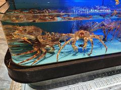 -阿伟海鲜楼·福建菜(延寿店)