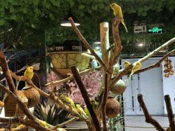 -酷嗒动物文化乐园(cutezoo西溪乐天城店)